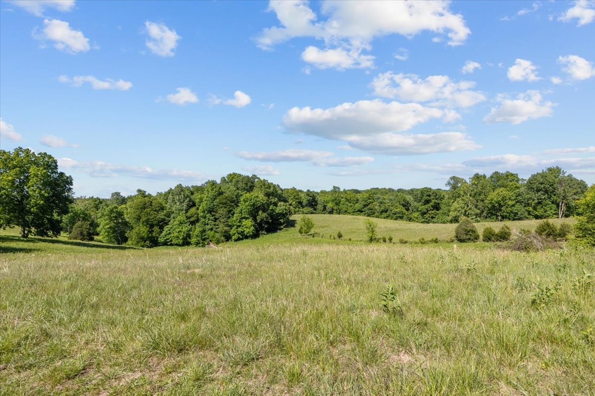 2440 Maple Grove Road Dickson, TN 37055 - Photo 89 of 99 a view of a lake with a yard