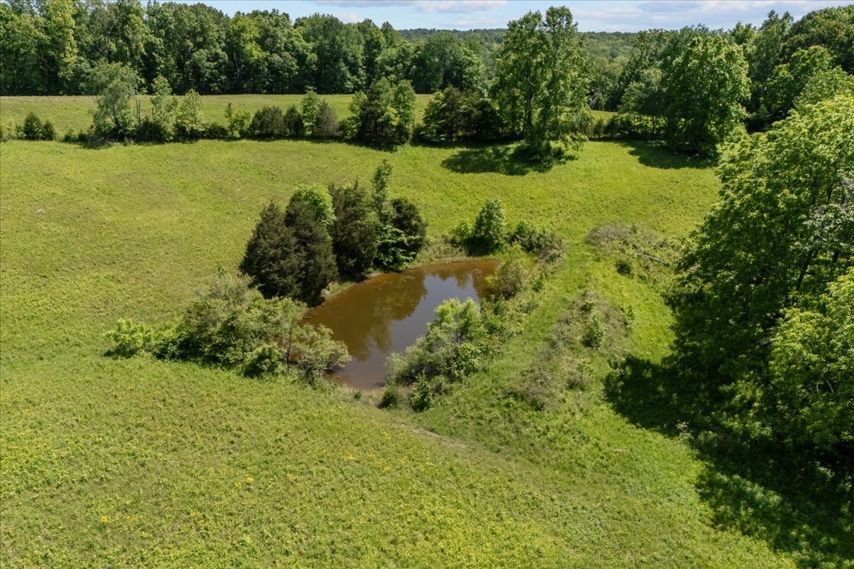 2440 Maple Grove Road Dickson, TN 37055 - Photo 92 of 99