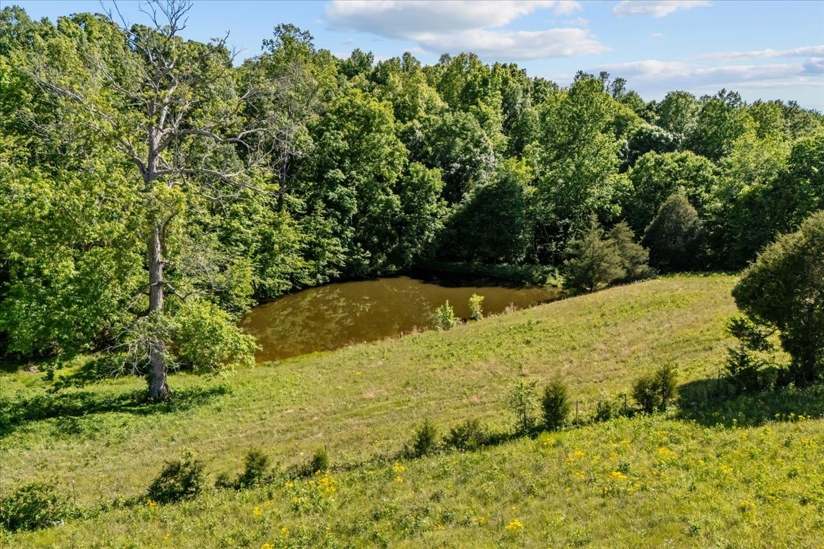 2440 Maple Grove Road Dickson, TN 37055 - Photo 93 of 99