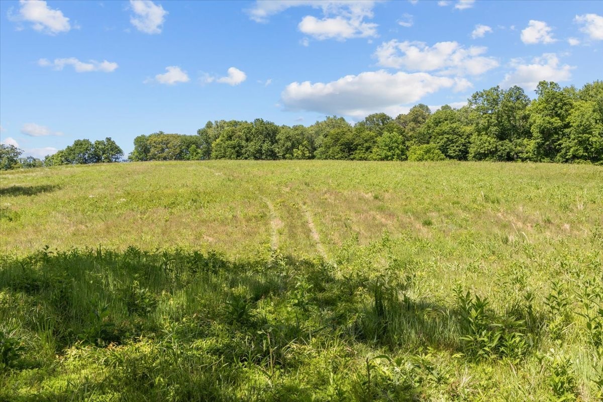 2440 Maple Grove Road Dickson, TN 37055 - Photo 94 of 99