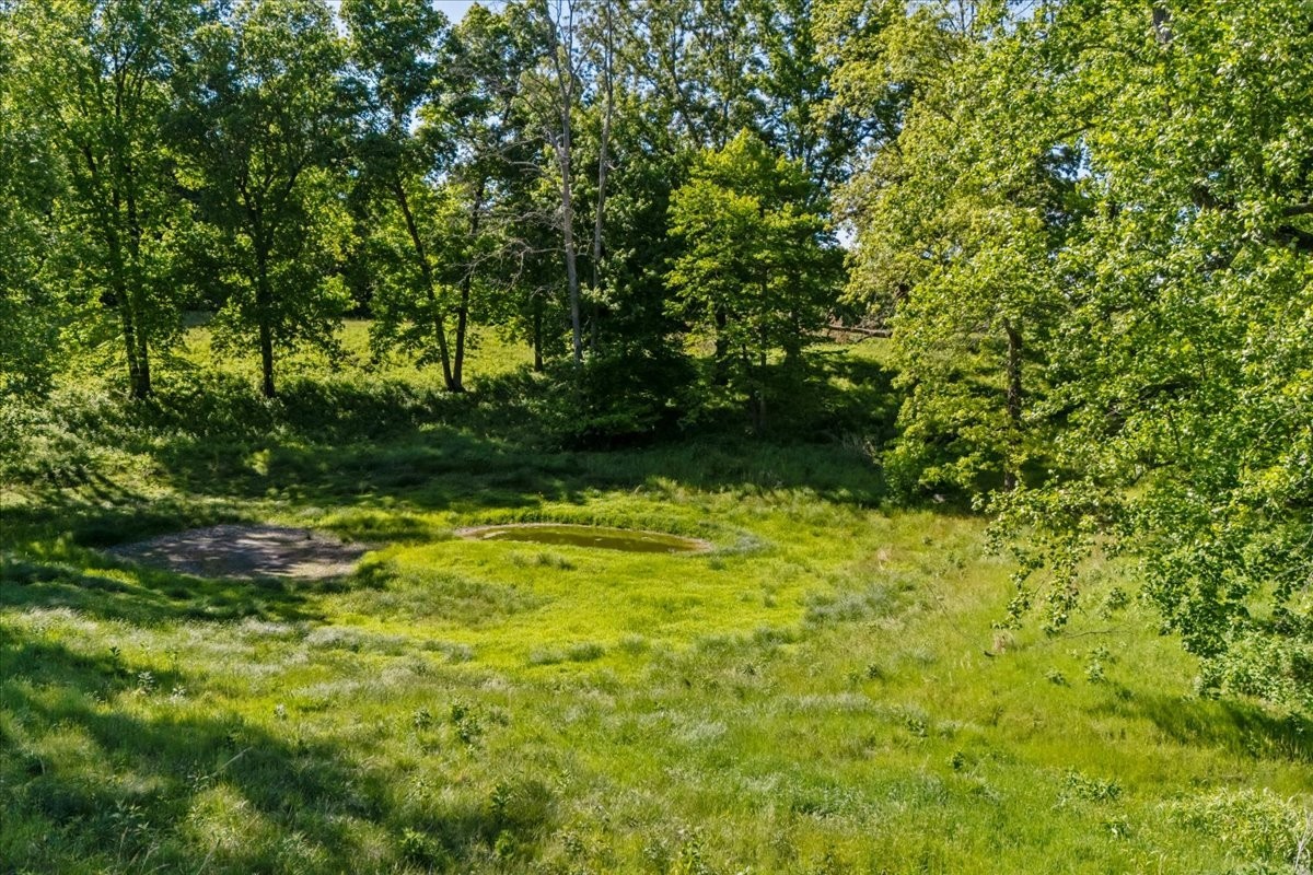 2440 Maple Grove Road Dickson, TN 37055 - Photo 95 of 99 a view of yard with green space