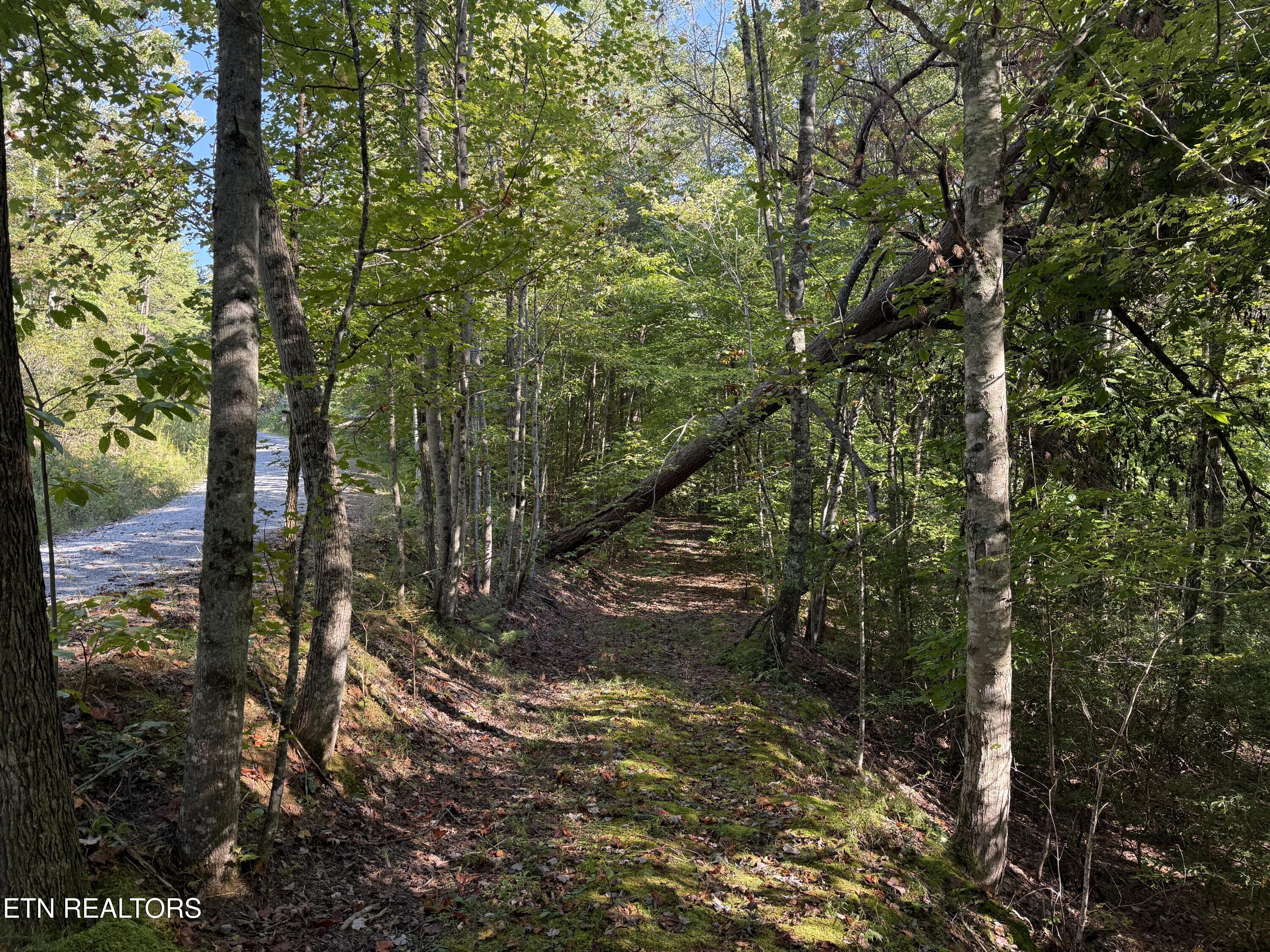 Covemont Road Sevierville, TN 37862 - Photo 5 of 23 IMG_9948