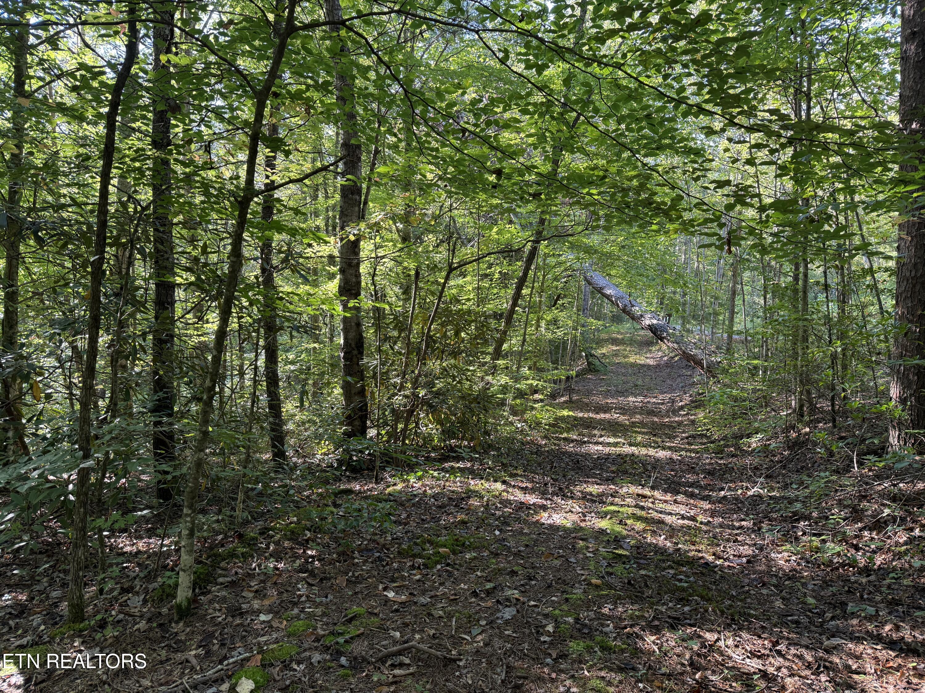 Covemont Road Sevierville, TN 37862 - Photo 7 of 23 IMG_9950