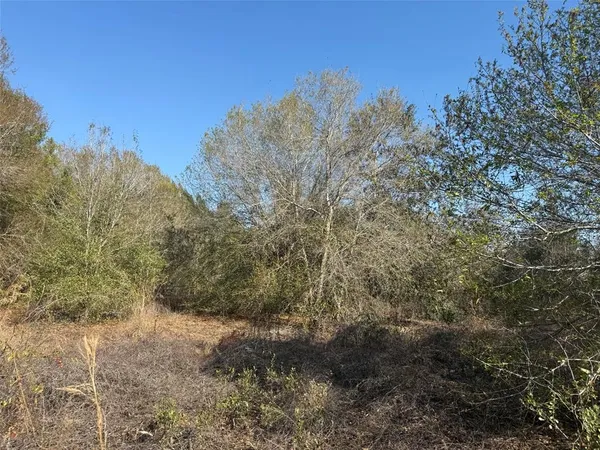 a view of a yard with a tree in the background