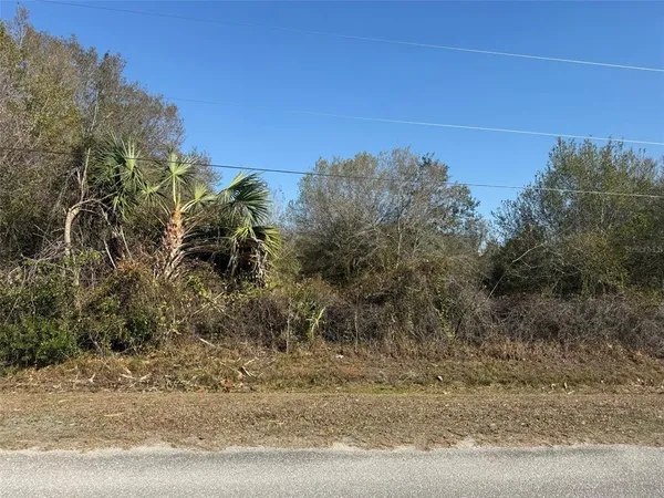 a view of a yard with a tree