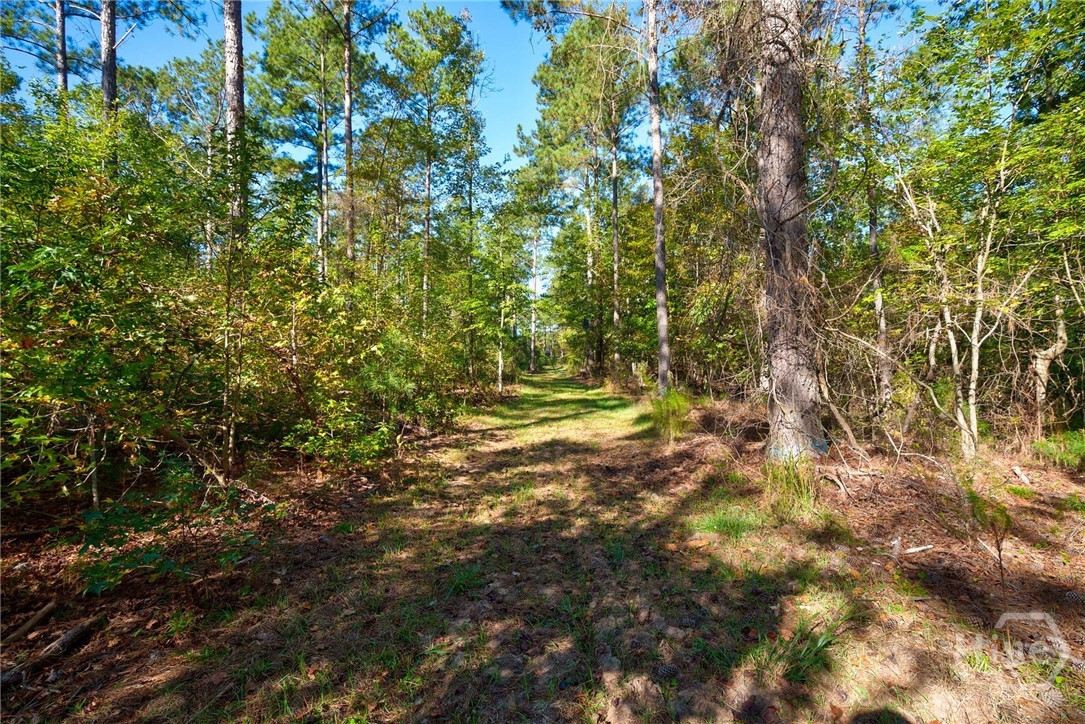 1 Bridges Road Carlton, GA 30627 - Photo 10 of 33