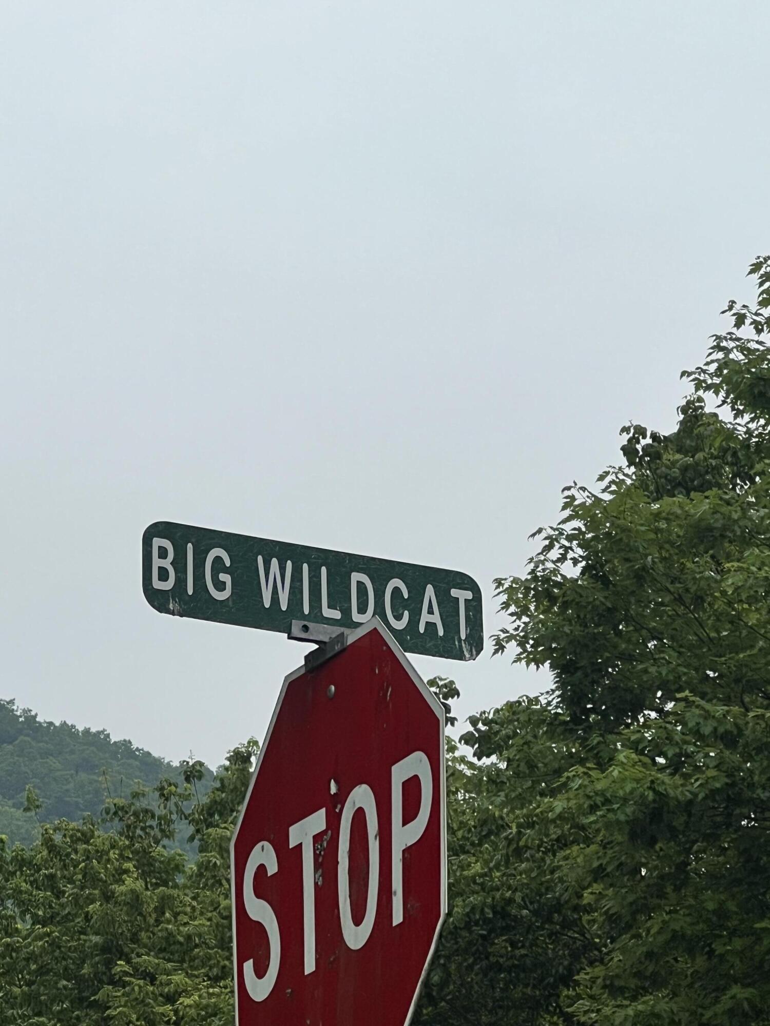 9911 Big Wildcat Road Manchester, KY 40962 - Photo 12 of 13 IMG_9253 2