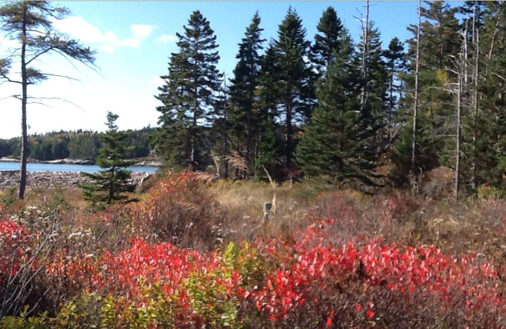 230 Corea Road Corea, ME 04624 - Photo 25 of 29 IMG_2458