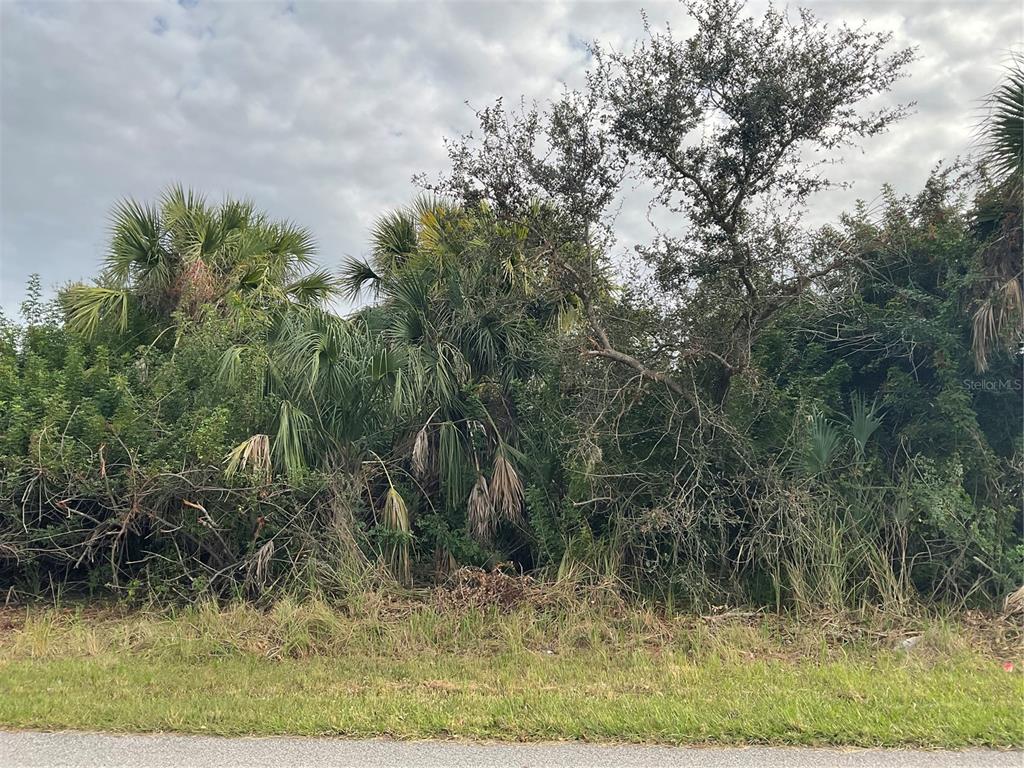 3724 Ariton Road North Port, FL 34288 - Photo 1 of 1 a view of a yard