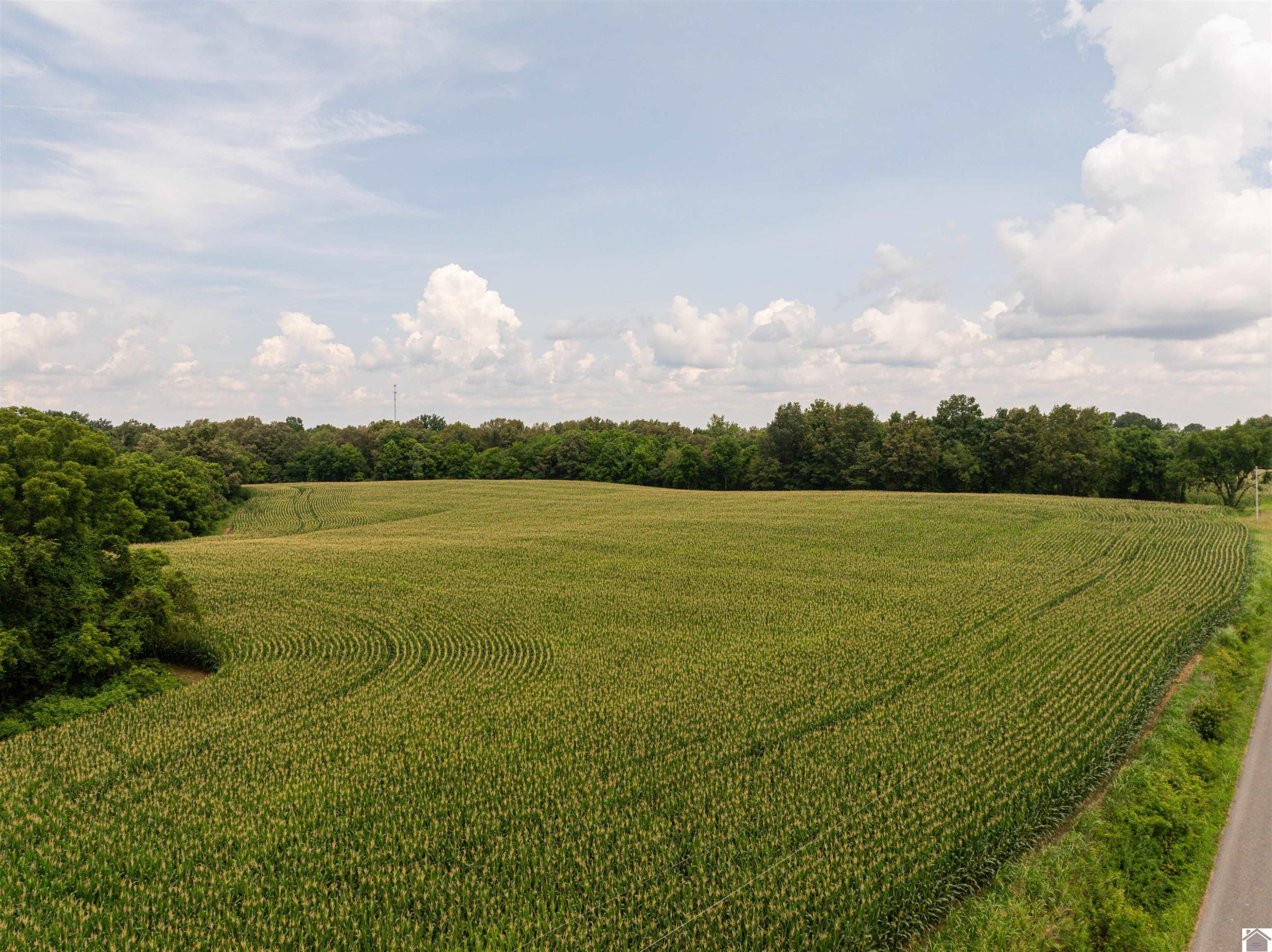 0 Boyd Road Wingo, KY 42088 - Photo 4 of 13 Photo 4
