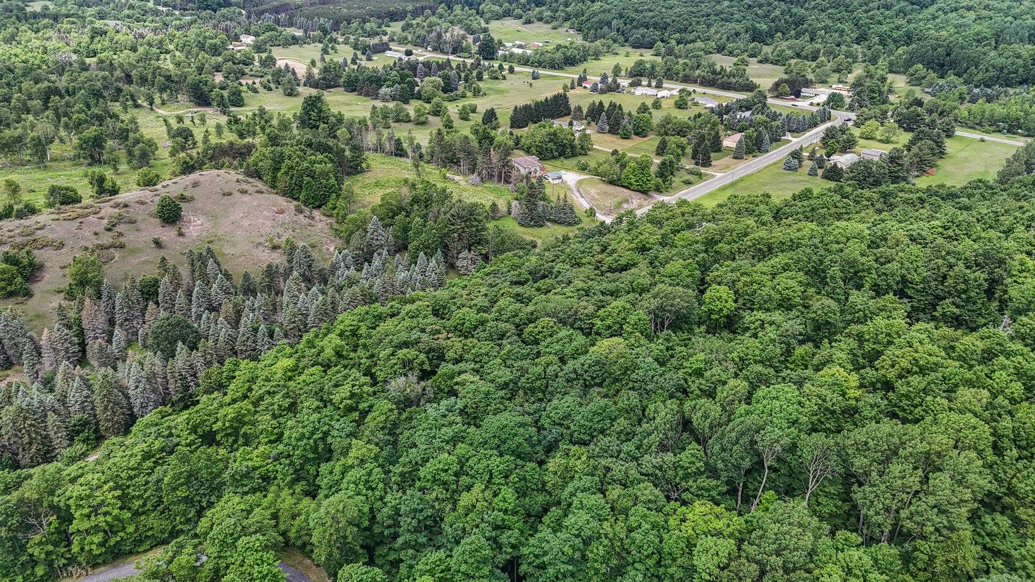V/l South Coleman Road Maple City, MI 49664 - Photo 15 of 22