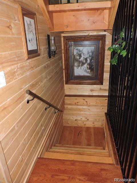 2137 Riccardo Lane Fort Garland, CO 81133 - Photo 29 of 47