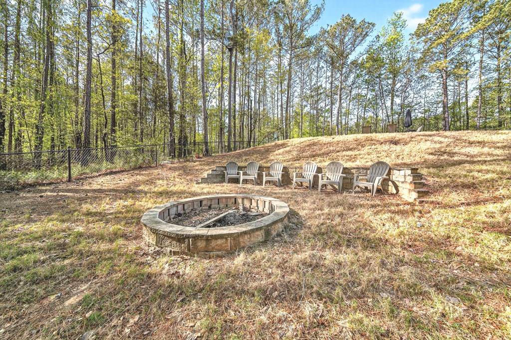 66 Timber Loop Midland, GA 31820 - Photo 48 of 74 Gallery Image 48