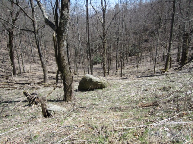 Rocky Knob Road Lenoir, NC 28661 - Photo 11 of 14 Gallery Image 11