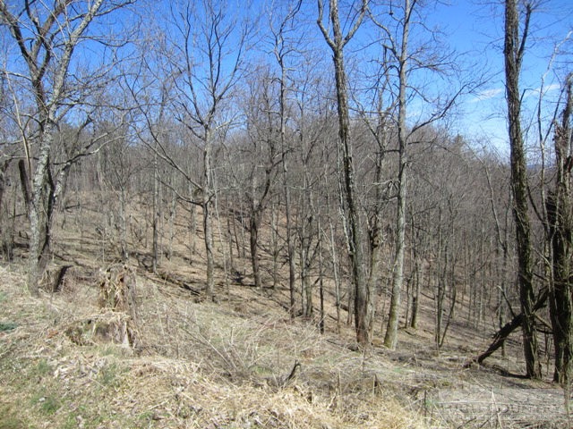 Rocky Knob Road Lenoir, NC 28661 - Photo 12 of 14 Gallery Image 12