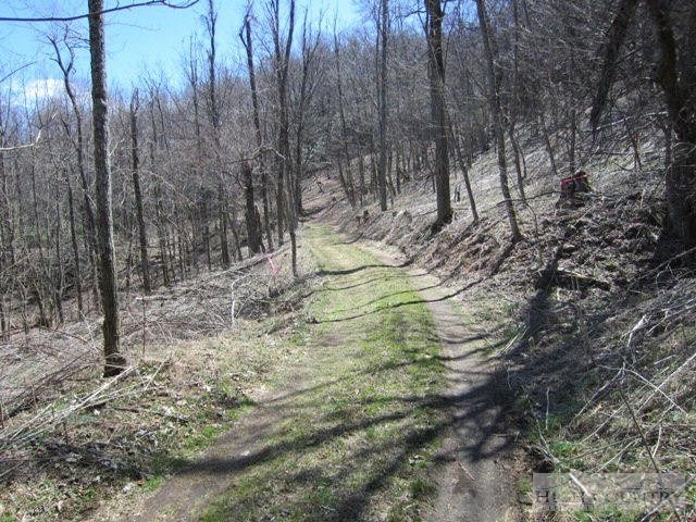 Rocky Knob Road Lenoir, NC 28661 - Photo 14 of 14 Gallery Image 14