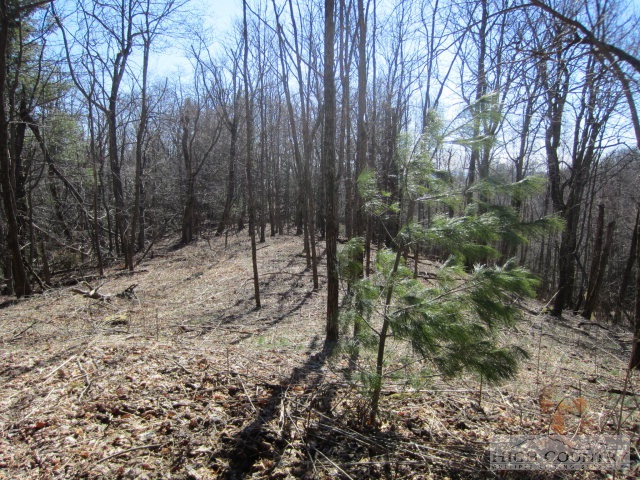 Rocky Knob Road Lenoir, NC 28661 - Photo 5 of 14 Gallery Image 5