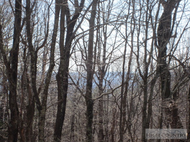 Rocky Knob Road Lenoir, NC 28661 - Photo 6 of 14 Gallery Image 6