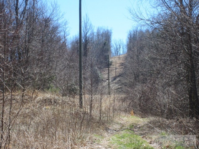 Rocky Knob Road Lenoir, NC 28661 - Photo 7 of 14 Gallery Image 7