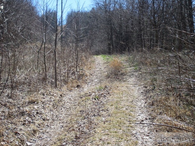 Rocky Knob Road Lenoir, NC 28661 - Photo 8 of 14 Gallery Image 8