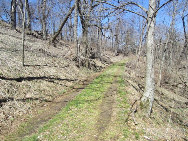 Rocky Knob Road Lenoir, NC 28661 - Photo 10 of 14 Gallery Image 10