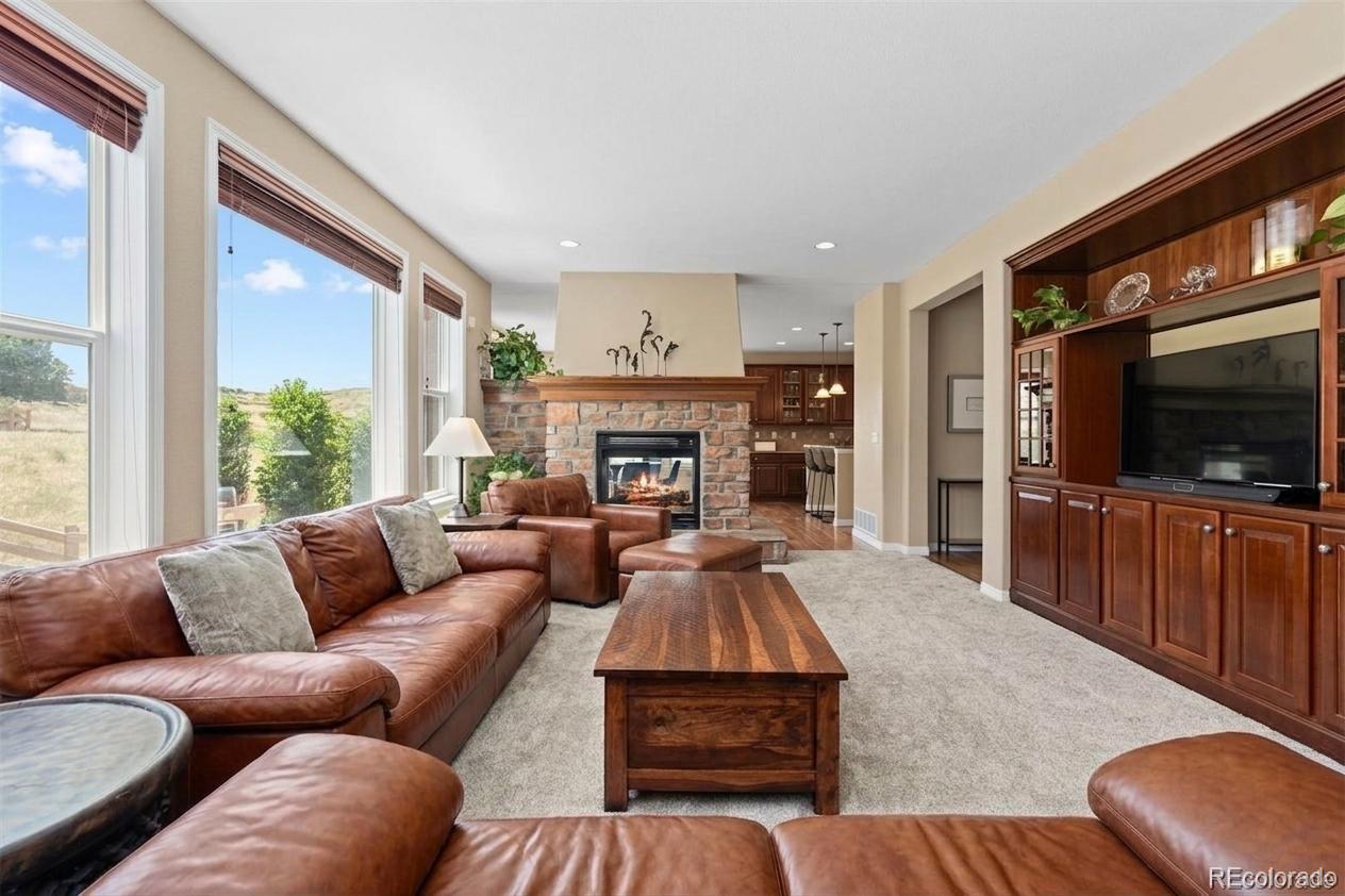 3860 Fairbrook Point Highlands Ranch, CO 80130 - Photo 10 of 42