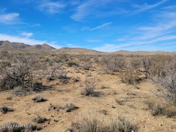 a view of a dry yard with mountains in the background