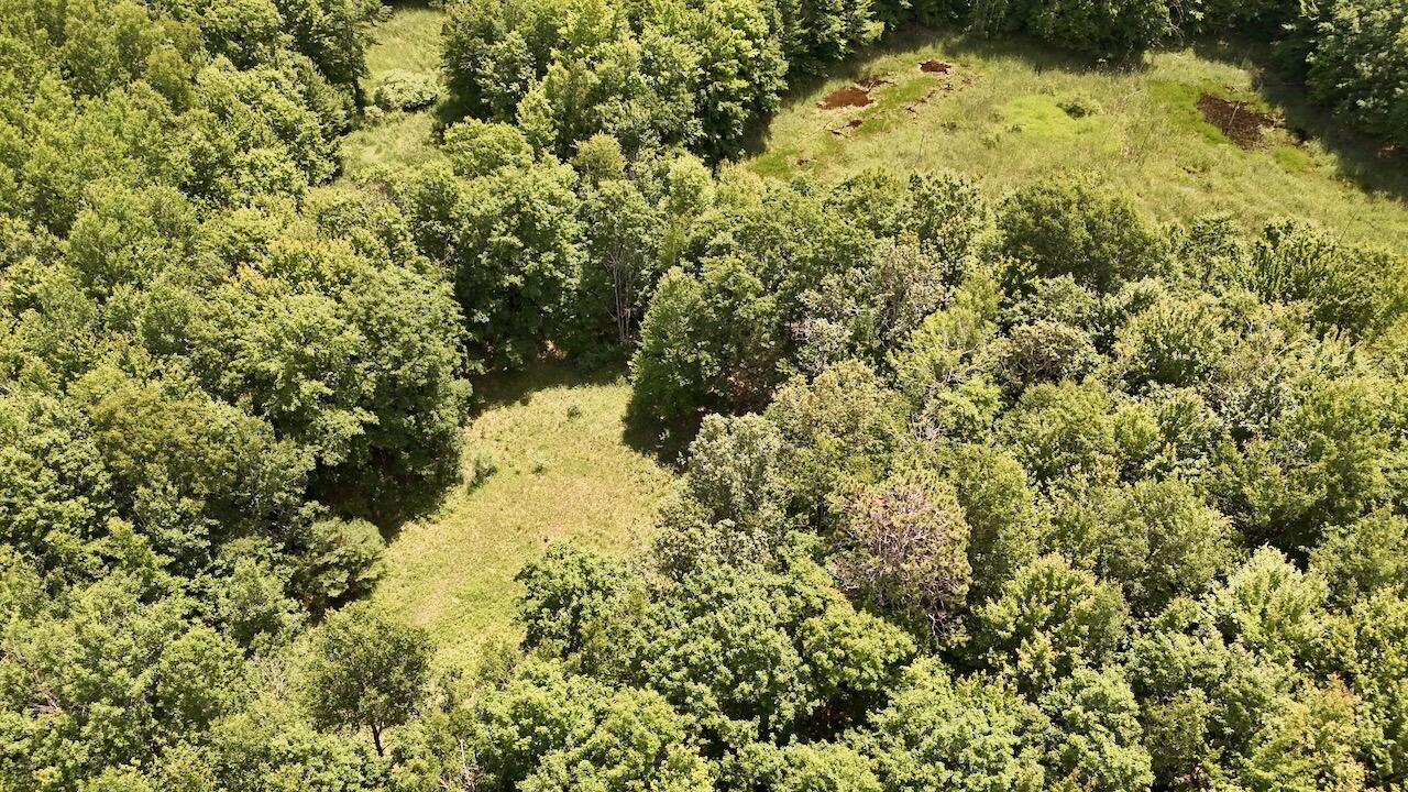 6182 Hamilton Road Harrison, MI 48625 - Photo 5 of 77