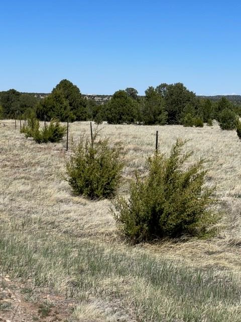 23 River Ridge Trail Walsenburg, CO 81089 - Photo 16 of 18 Gallery Image 16
