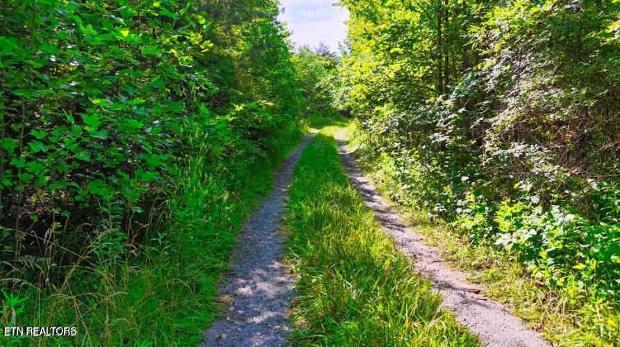 Lantana Road Crossville, TN 38572 - Photo 3 of 5 lantana pic3