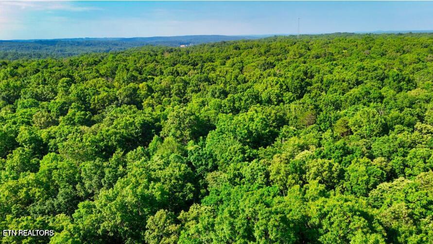 Lantana Road Crossville, TN 38572 - Photo 4 of 5 lantana pic4