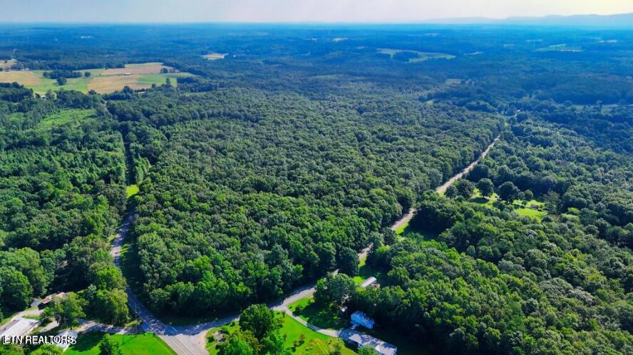 Lantana Road Crossville, TN 38572 - Photo 5 of 5 lantana pic5