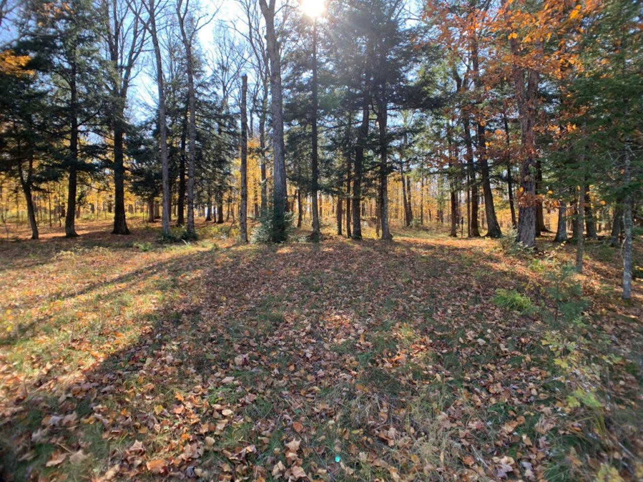 Lot2 Lot2 Cth Ff Mercer, WI 54547 - Photo 20 of 29 Gallery Image 20