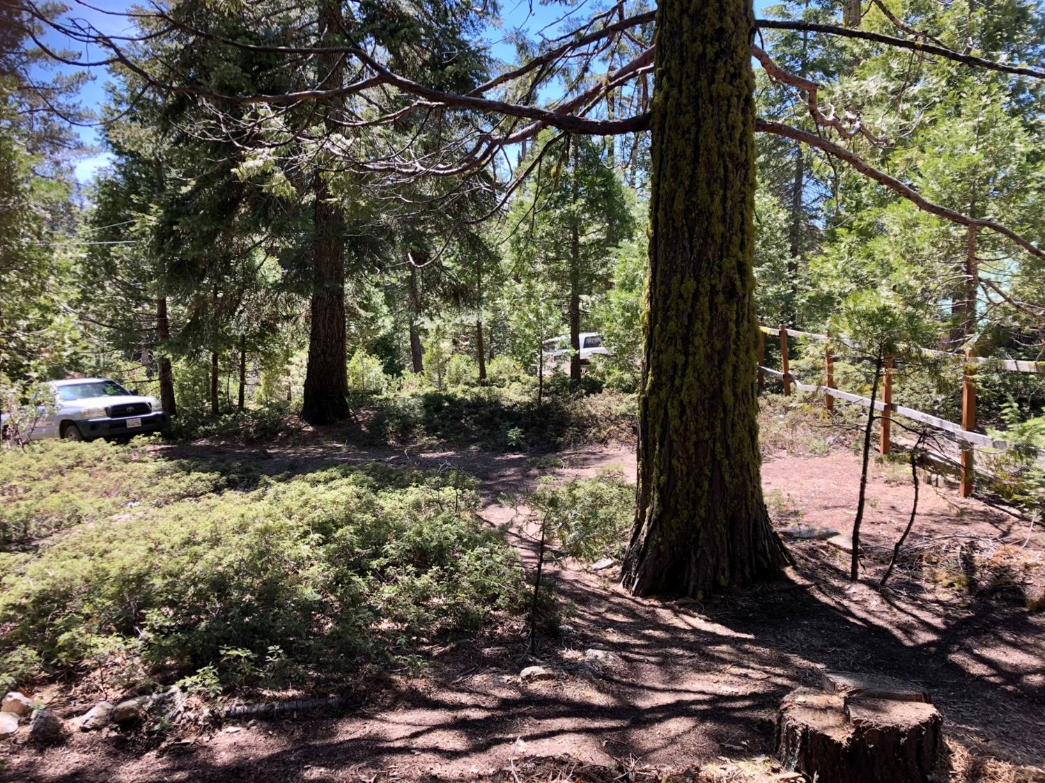 41271 Chinquapin Road North Fork, CA 93643 - Photo 20 of 30