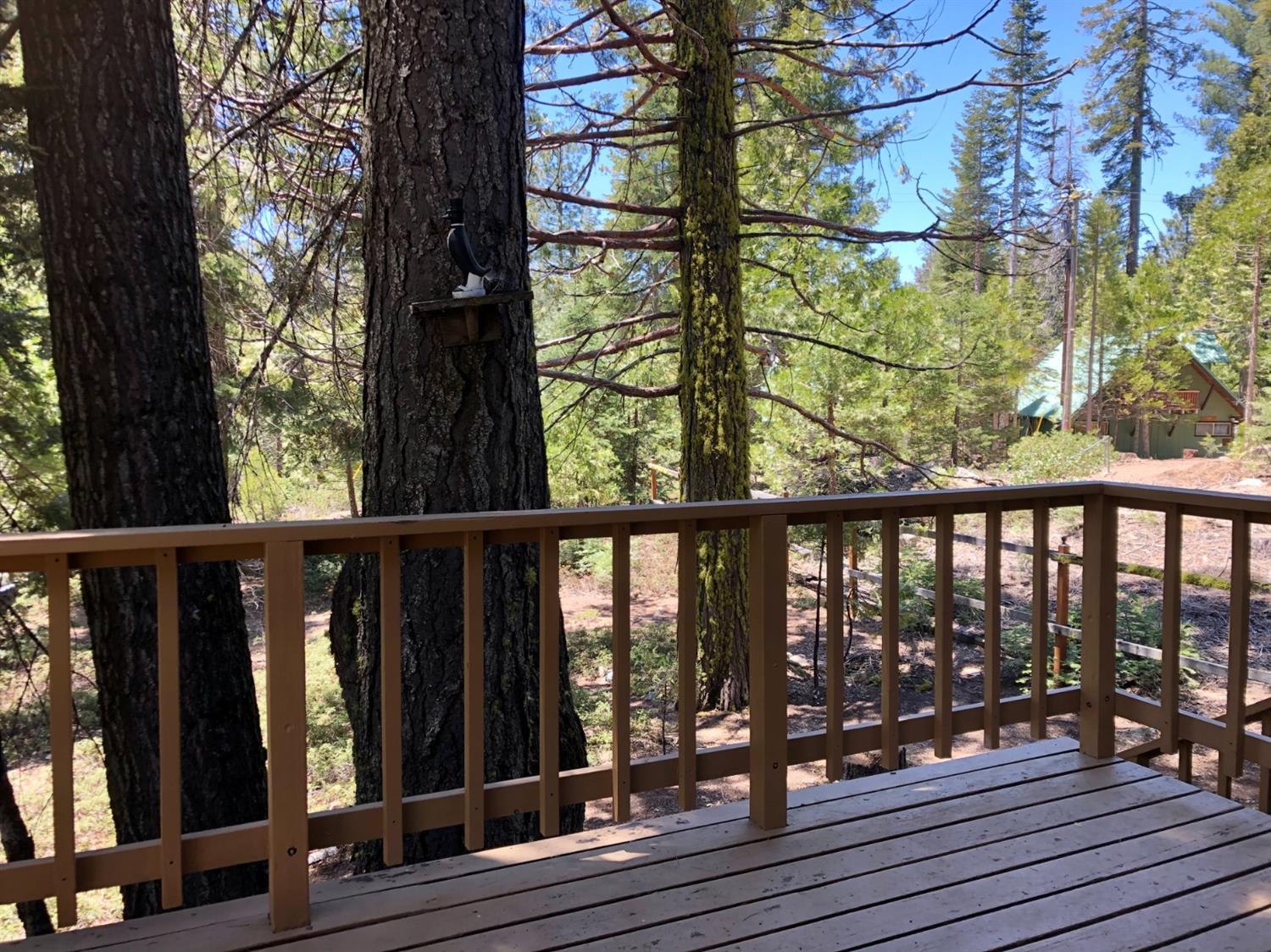 41271 Chinquapin Road North Fork, CA 93643 - Photo 3 of 30