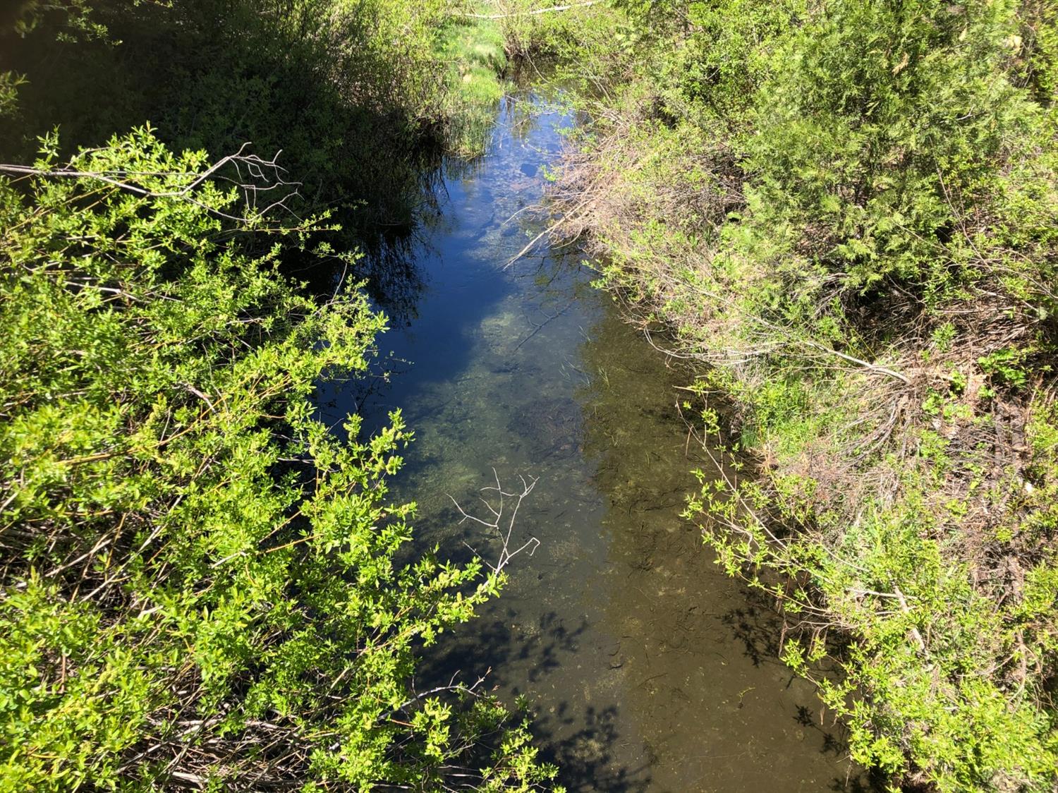 41271 Chinquapin Road North Fork, CA 93643 - Photo 28 of 30 Sand Creek nearby