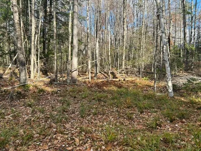 $45,000 | 0 French Road, Norway, ME 04268
