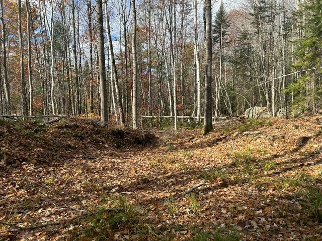 0 French Road Norway, ME 04268 - Photo 2 of 7 image3