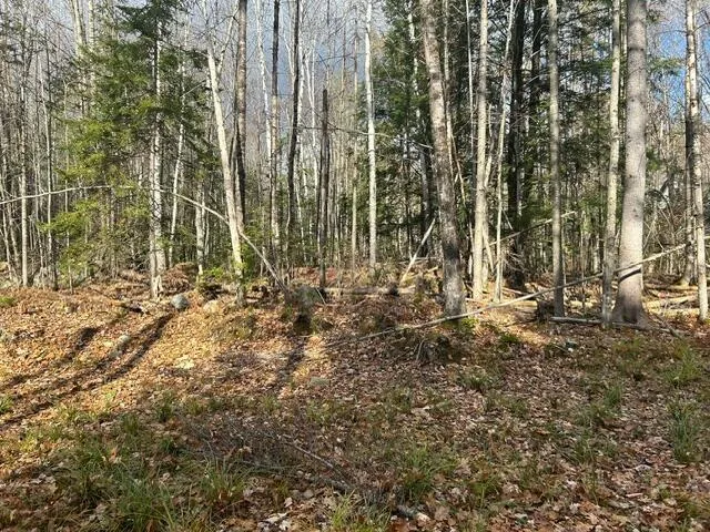 $45,000 | 0 French Road, Norway, ME 04268