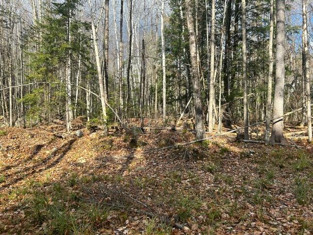 0 French Road Norway, ME 04268 - Photo 3 of 7 image4