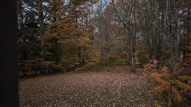 0 French Road Norway, ME 04268 - Photo 4 of 7 image6