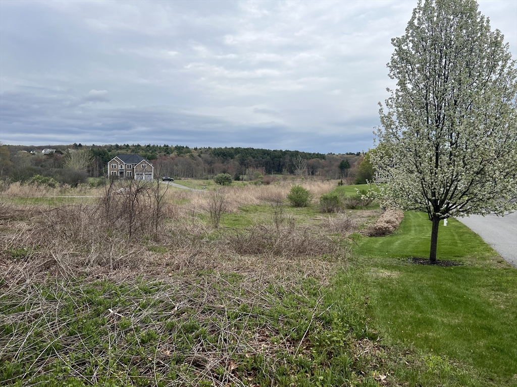 38 Adams Road Grafton, MA 01519 - Photo 4 of 14 Gallery Image 4