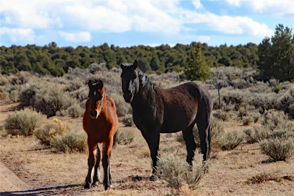 $7,200 | 17 Alta Mesa Drive, San Luis, CO 81152