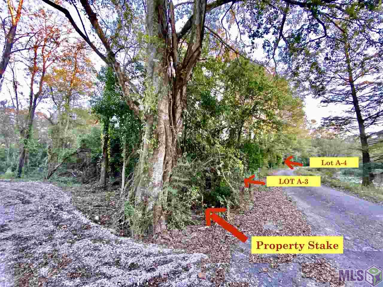 Lot # Lot Road St. Amant, LA 70774 - Photo 2 of 6 Gallery Image 2