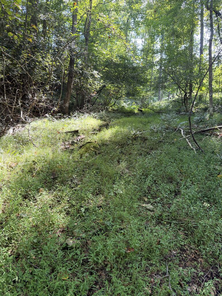 Tbd Baltimore Road Hillsville, VA 24343 - Photo 39 of 50 Gallery Image 39