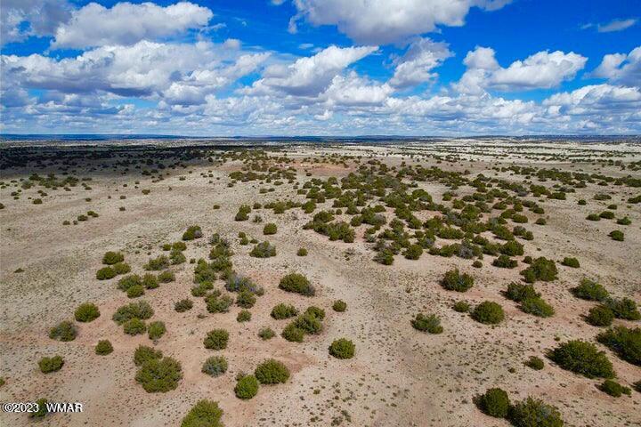 2253 Laguna Road Show Low, AZ 85901 - Photo 13 of 18