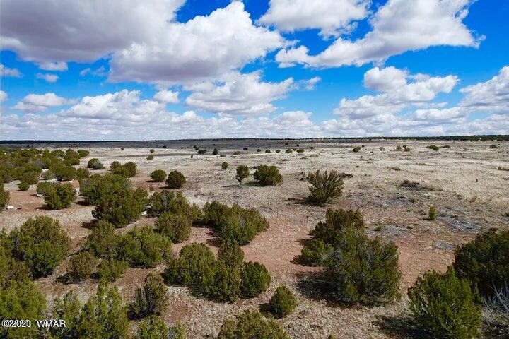 2253 Laguna Road Show Low, AZ 85901 - Photo 14 of 18