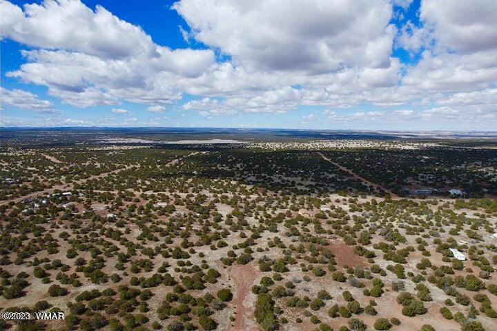 2253 Laguna Road Show Low, AZ 85901 - Photo 16 of 18