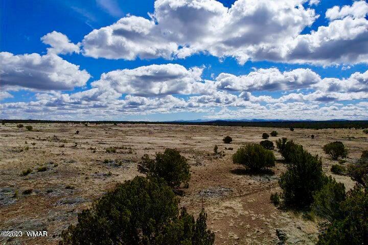 2253 Laguna Road Show Low, AZ 85901 - Photo 18 of 18