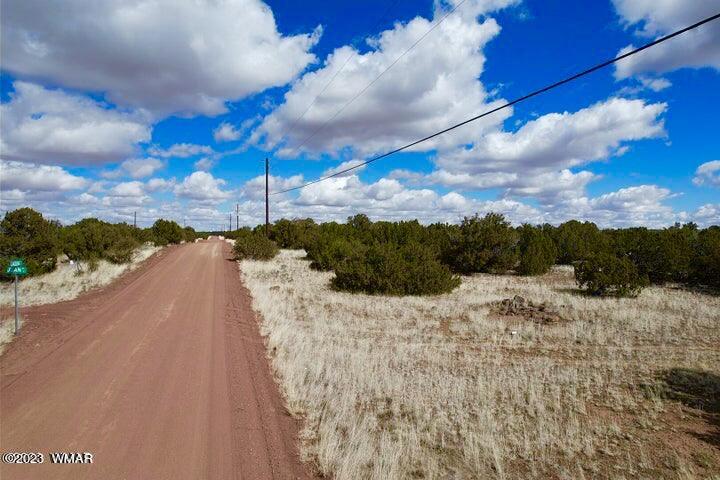 2253 Laguna Road Show Low, AZ 85901 - Photo 2 of 18